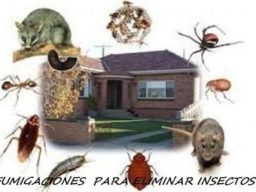 control-plagas-almacenes-empresas